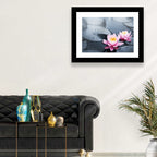 Pink Water Lilies Wall Art