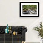 Stock Ghyll Footbridge Forest Stream Wall Art