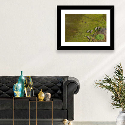 Aerial Herd of Elephants Wall Art