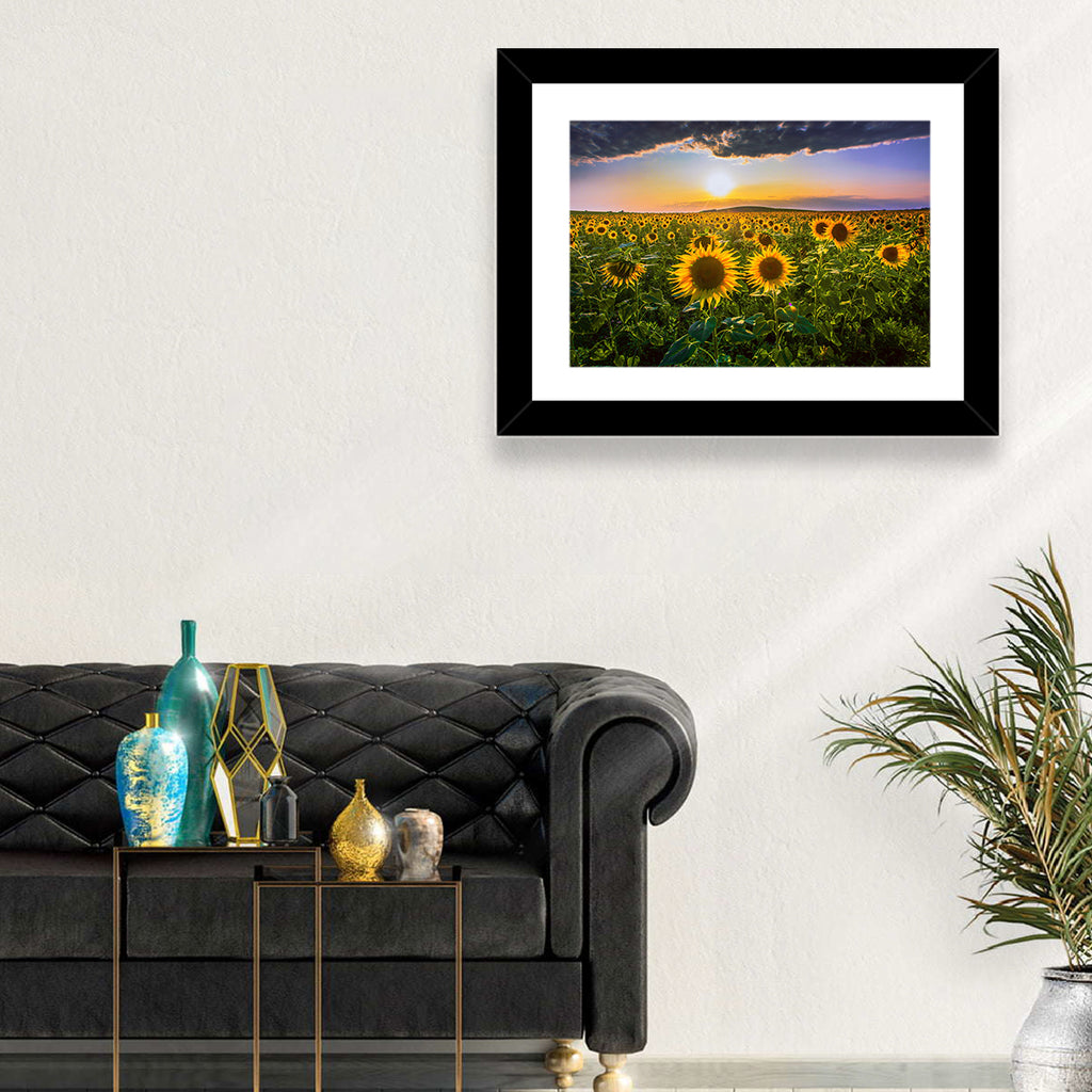 Sunflower Field at Golden Hour Wall Art