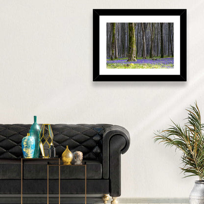 Bluebell Beechwood Grove Wall Art