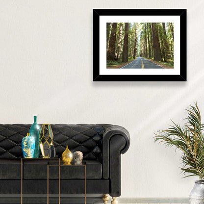 Giants Avenue Redwood Forest Road Wall Art