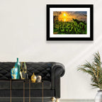 Mangrove Roots at Sunset Wall Art