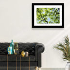 Sunlit Tree Canopy Wall Art
