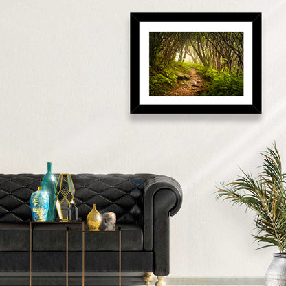 Craggy Gardens Hiking Trail Wall Art