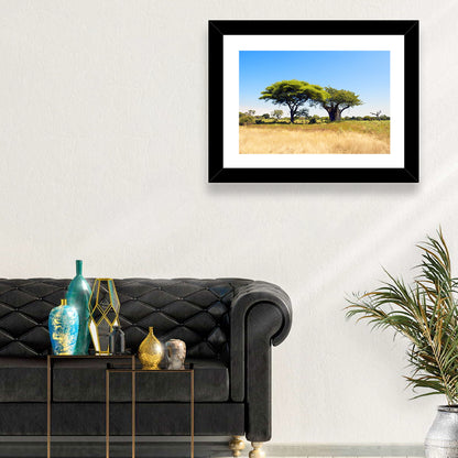 Acacia and Baobab Trees Wall Art