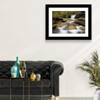 South Carolina Forest Waterfall Wall Art