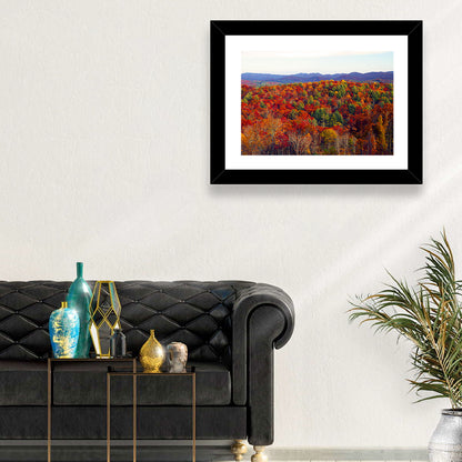 Autumn in the Appalachian Forest Wall Art