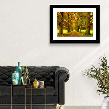 Beech Tree Lane at Golden Hour Wall Art