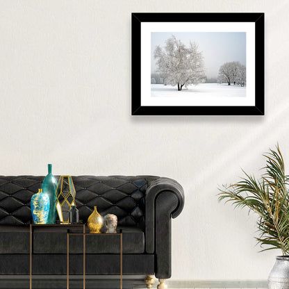 Frosty Trees Wall Art