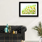 Chamomile Close-up Wall Art