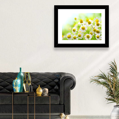 Chamomile Close-up Wall Art