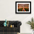 Meguro River Cherry Blossoms Wall Art
