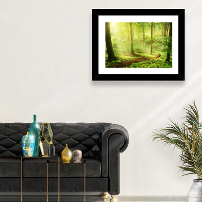 Sunlit Forest Path Wall Art