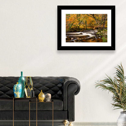 Dartmoor Autumn River in Golden Forest Wall Art