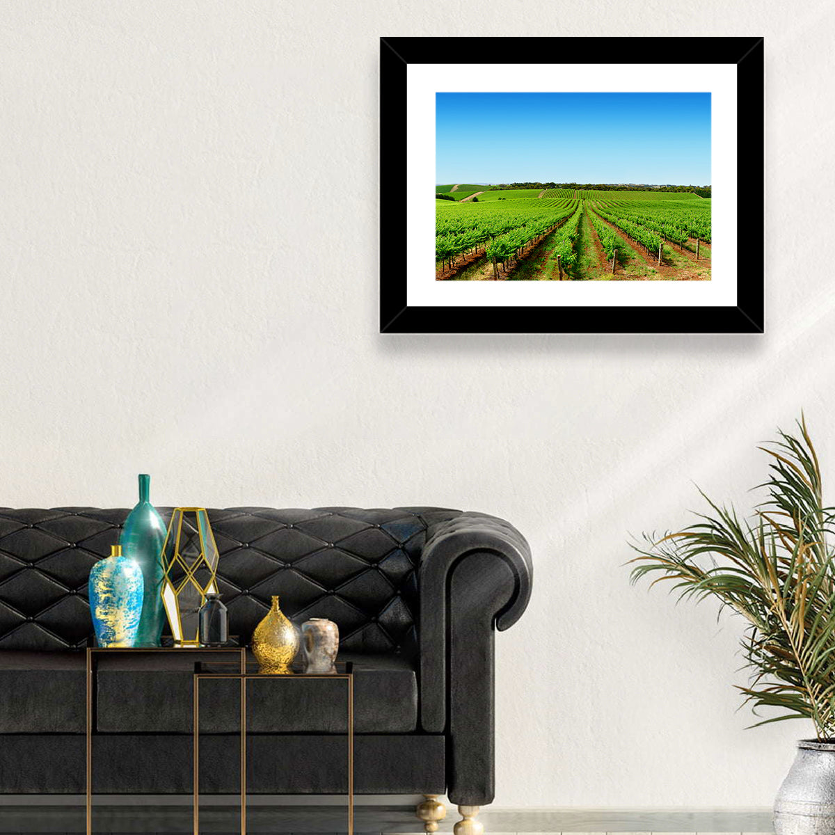 Sunlit Vineyard Rows Wall Art
