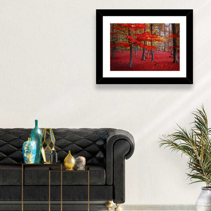 Crimson Autumn Forest Wall Art