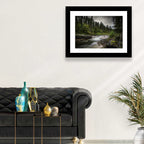 Mossy Forest Stream Wall Art