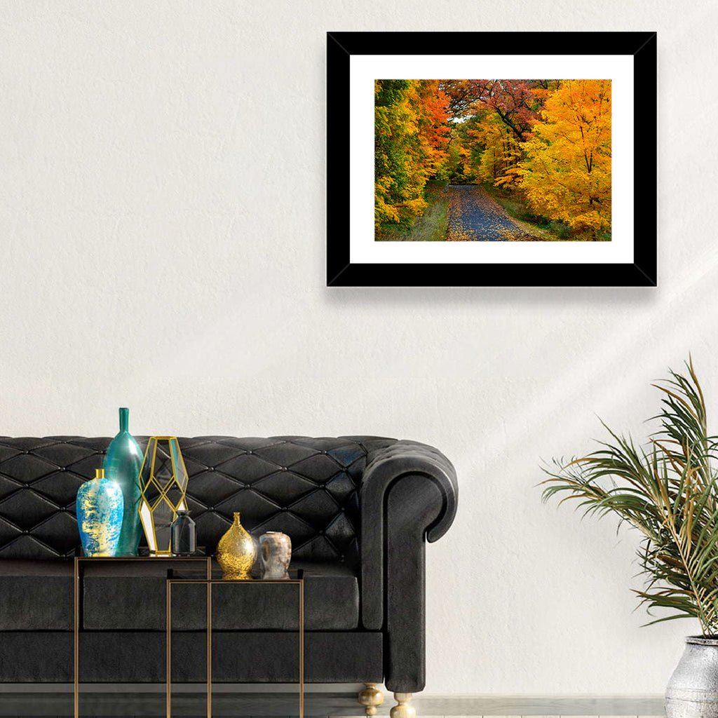 Autumn Road Through Wisconsin Park Wall Art