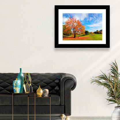 Orange Maple on Rolling Hill Wall Art