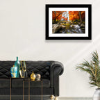 Autumn Forest Waterfall Wall Art