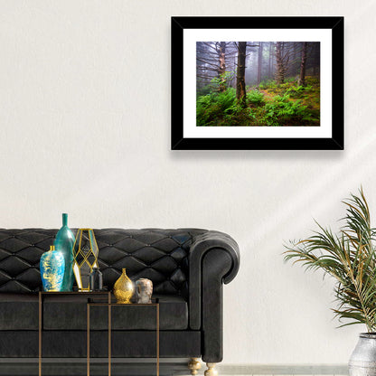 Misty Spruce-fir Trail Wall Art