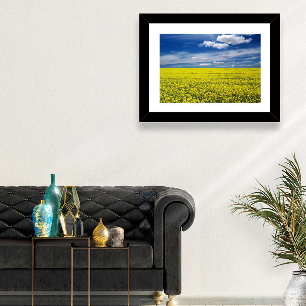 Sunlit Canola Field Wall Art