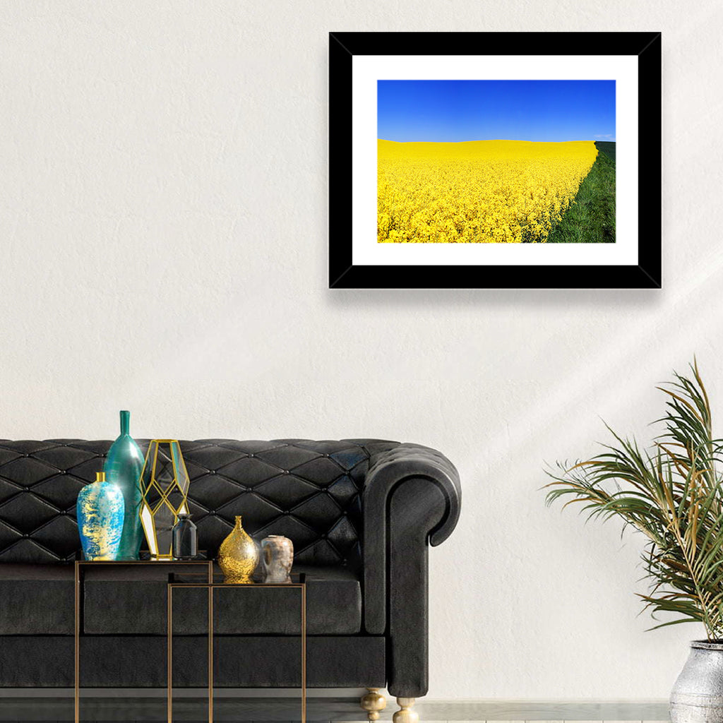 Sunlit Rapeseed Field Wall Art