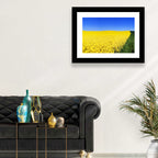 Sunlit Rapeseed Field Wall Art