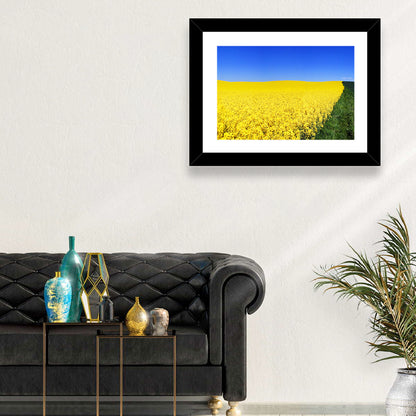 Sunlit Rapeseed Field Wall Art