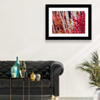 Autumn Birches with Crimson Maples Wall Art