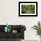 Arkansas Forest Stream Wall Art
