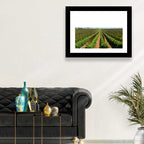 Tomato Fields Wall Art