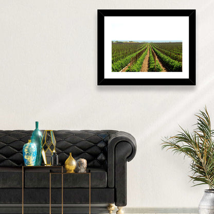 Tomato Fields Wall Art