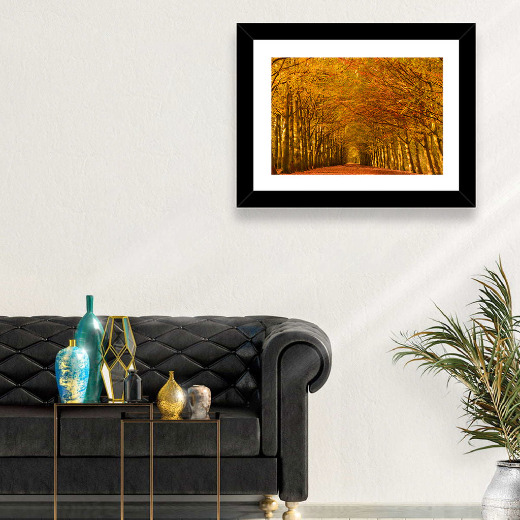Golden Beech Tree Tunnel in Autumn Wall Art