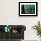 Congaree Swamp Reflection Wall Art