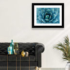 Spiral Agave Macro Wall Art