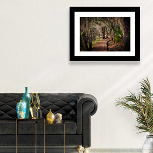 Louisiana Swamp Boardwalk Wall Art