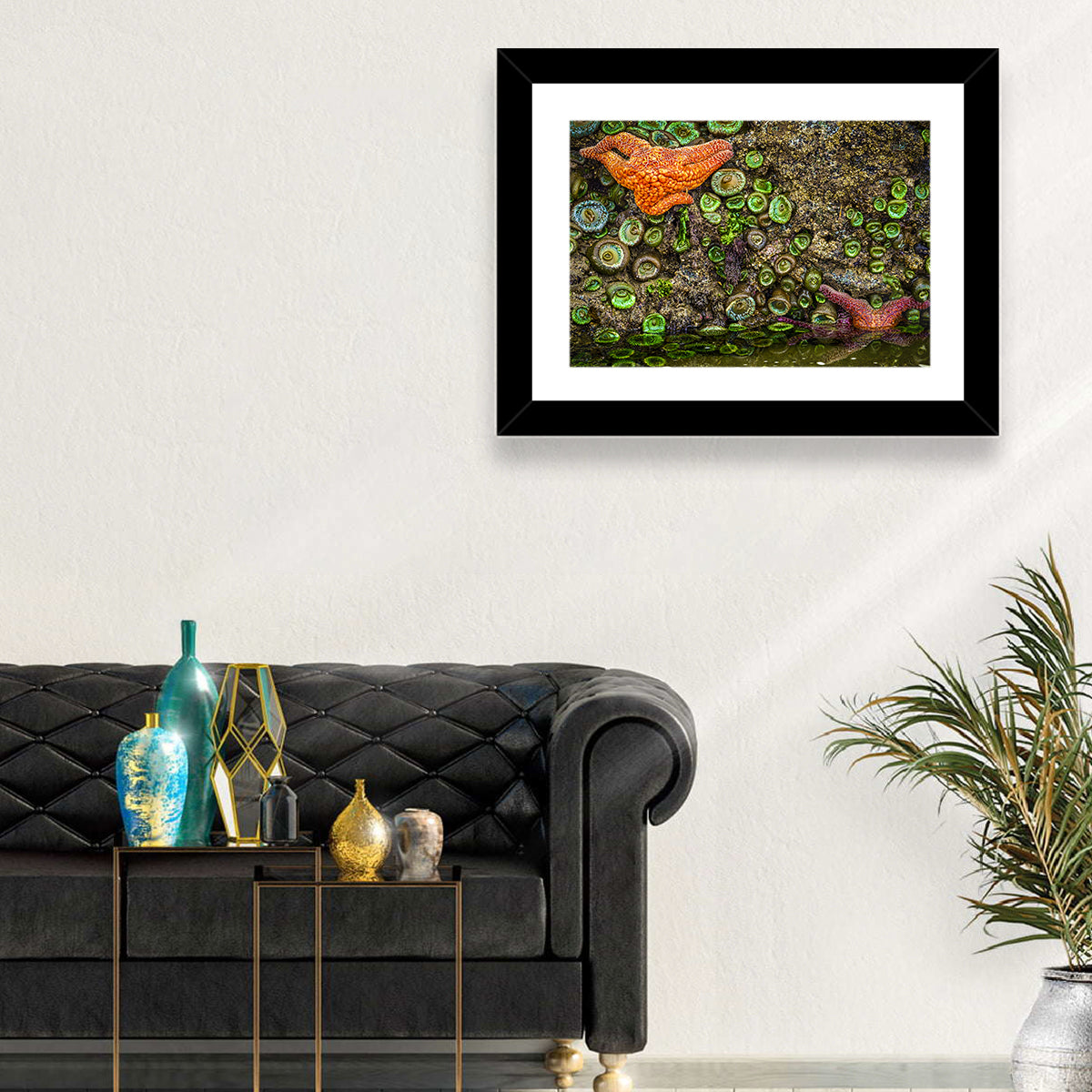 Orange Starfish Tide Pool Wall Art in a room, landscape