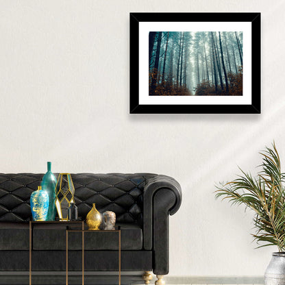 Misty Pine Forest Wall Art