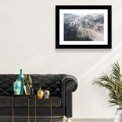Misty Forest Sunrise Wall Art