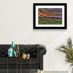 Misty Swedish Pine Valley Wall Art