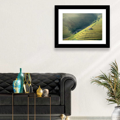 Golden Rice Terraces Wall Art