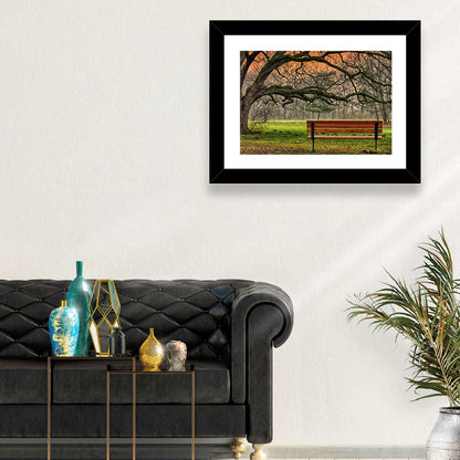 Misty Autumn Park Bench Wall Art