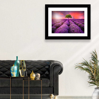 Sunset Over Lavender Fields Wall Art