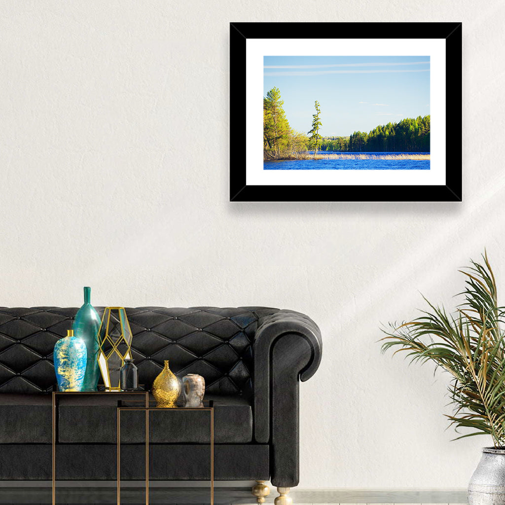 Summer Forest Lake Shoreline Wall Art