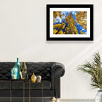 Golden Aspen Canopy View Wall Art