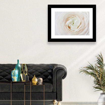 Peach Ranunculus Macro Bloom Wall Art
