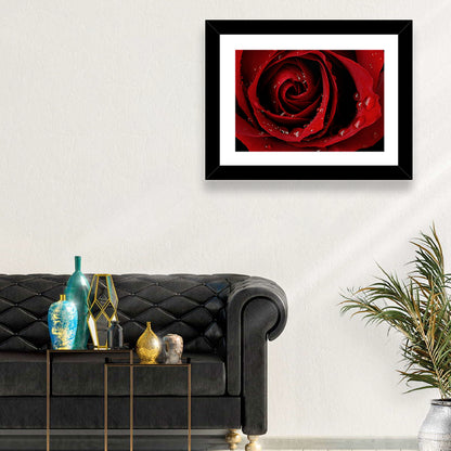 Red Rose with Dew Drops Wall Art