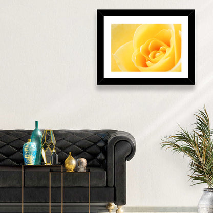 Soft-lit Yellow Rose Close-up Wall Art